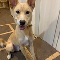 元気なおっち【ずっとの家族が出来ました】