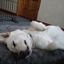 「寝顔カワイイ。」サムネイル2