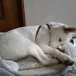 「寝顔カワイイ。」サムネイル3