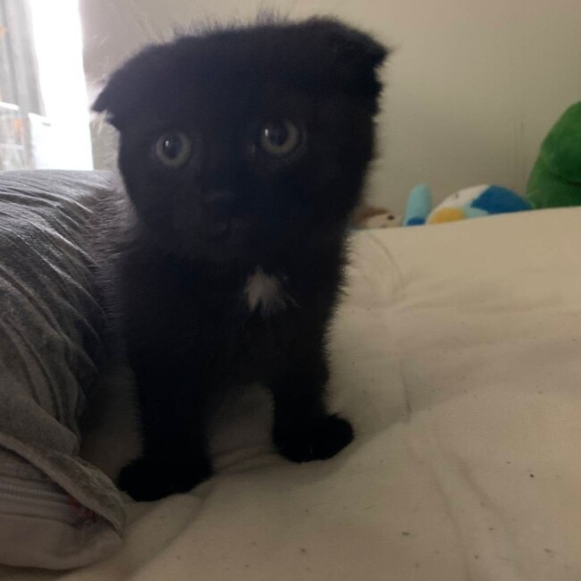 ミハマのカバー写真