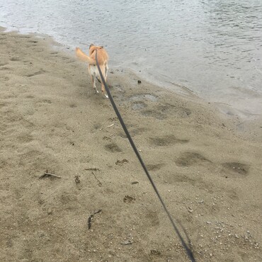 探検
