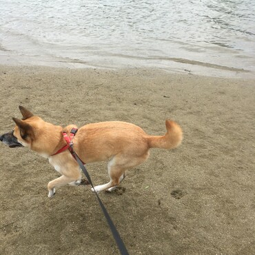 の写真