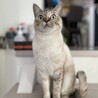 の写真