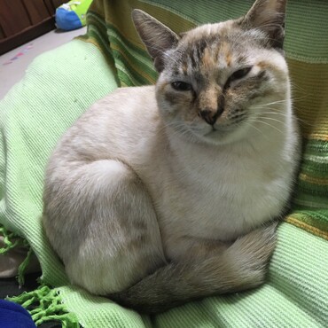 ねむーい？