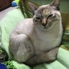 ねむーい？