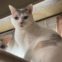 綺麗なブルーアイの穏やかな女の子♡