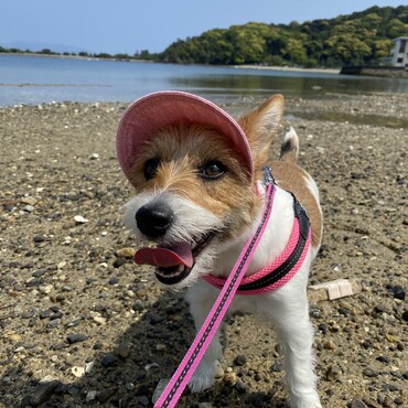 の写真