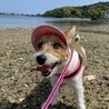 の写真