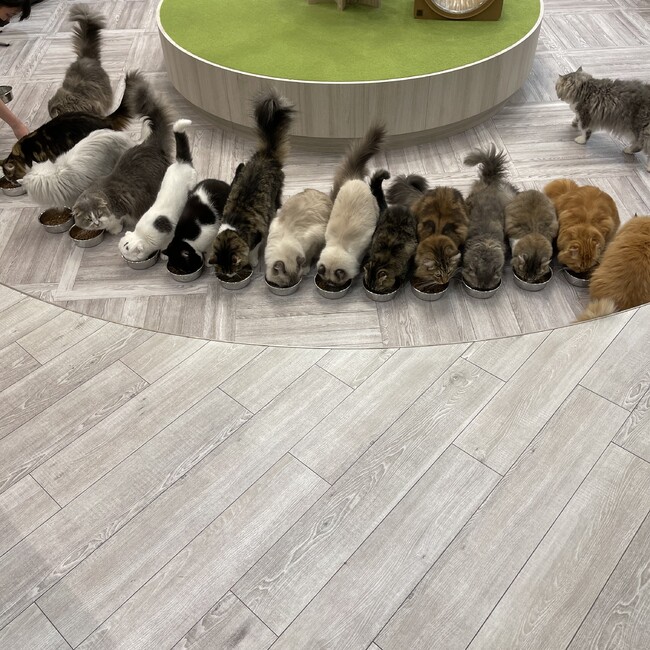 ほっしゃん。。のカバー写真