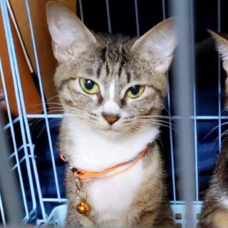 5/2西千葉ෆ⃛ひとりが好きෆ⃛「メイちゃん」