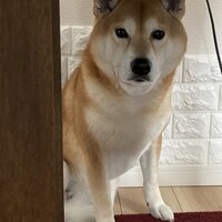 藍丸