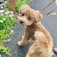 みろ