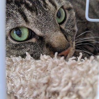 超がつくびびりぃ麻ちゃん(８歳)☆