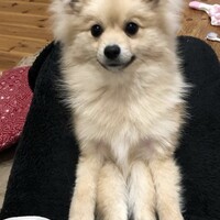 ひかる