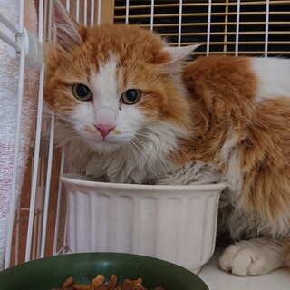 超美男子 ツンデレ アッキー