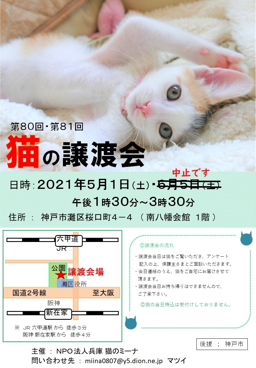 猫の譲渡会in灘区 ¨ 」（猫のミーナのイベント #12049） :: ペット 
