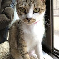 さよ