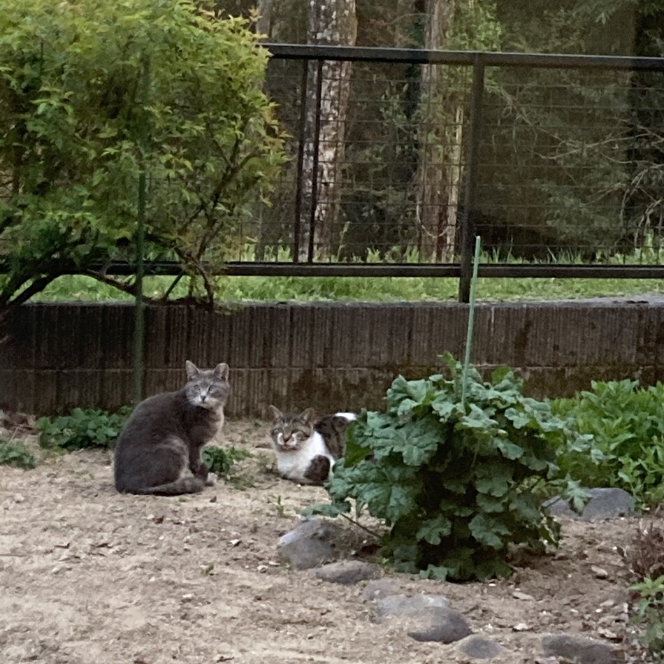 ミチのカバー写真