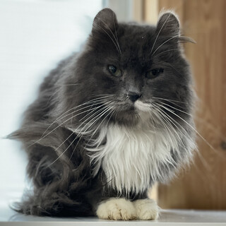 ユニークな顔立ちの甘えん坊男子♡