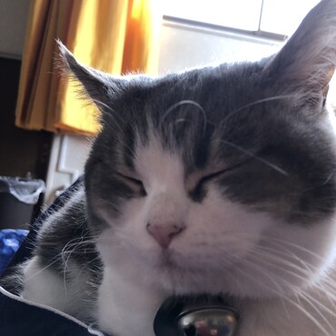 わさお？
