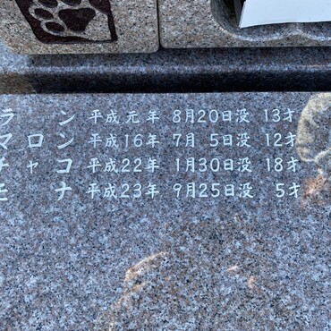 の写真