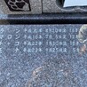 の写真