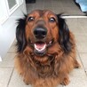 リリーです　^_^