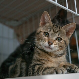 超絶可愛いやんちゃ兄弟「シュロ」「ナギ」