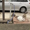 ながいさちえ