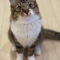 まだまだ怖がりな松子ちゃん