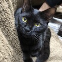 超甘えん坊でヤンチャ！元気な黒オスくん★