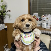 次郎