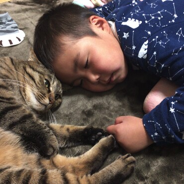 の写真