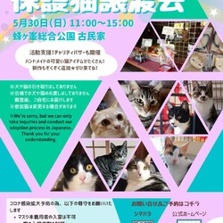 開催中止❗️❗️第１６回保護猫譲渡会in山口県