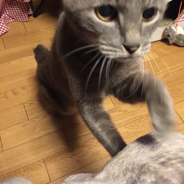 相変わらず難聴？その他の感覚は大丈夫(^_^)vしかし！新たな問題が…(~_~;)