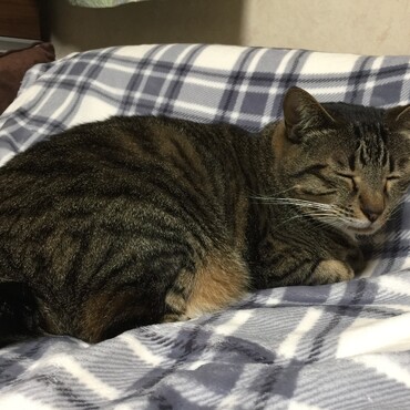 一日中、大声で鳴く雷ジイに雹タンは…輪唱(~_~;)