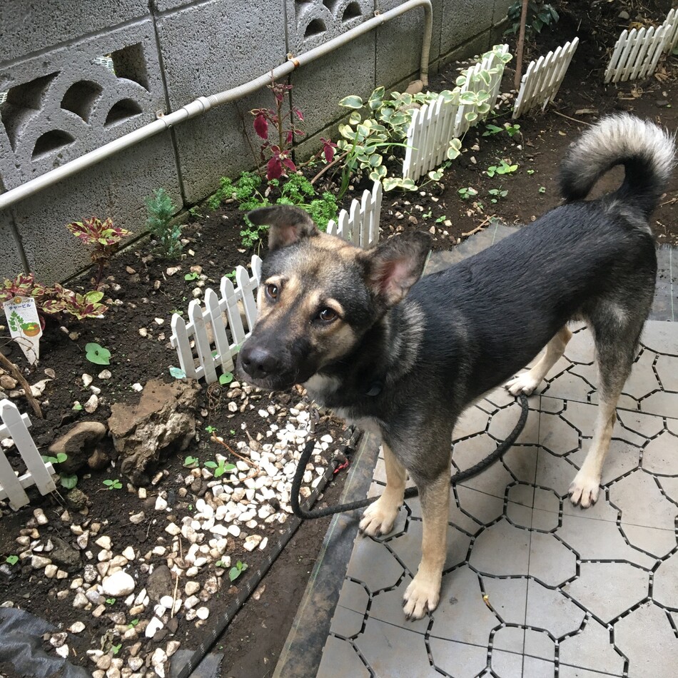 Billyのカバー写真
