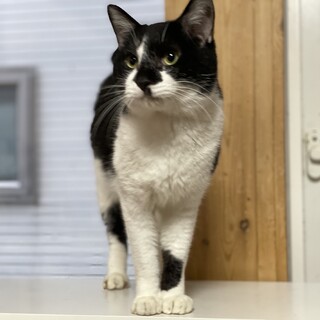 天真爛漫☆抱っこ大好き♡