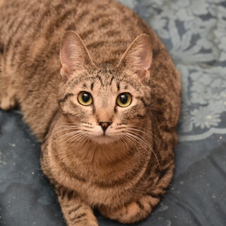 フレンドリーなルイ君