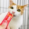 構ってちゃんな三毛猫さん!! サムネイル2