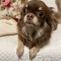 あお