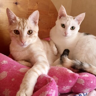 ずっと一緒がいいな