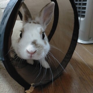 まつげがキレイなイケメン【まー坊くん】 