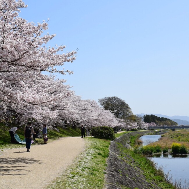 デュオリアンのカバー写真