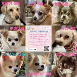大倉山プチハピふれあい会
