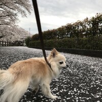 れん