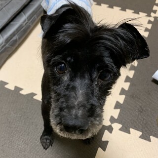 とても人懐っこくて可愛い女の子♪