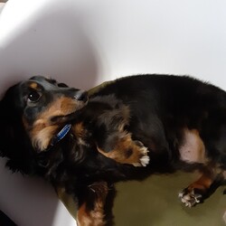 カミナリだけど