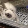 ユーキ19
