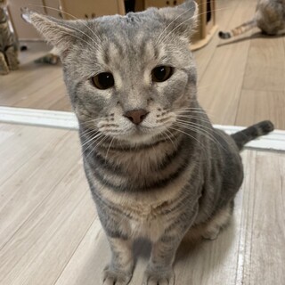 153匹多頭飼育崩壊からのレスキュー★